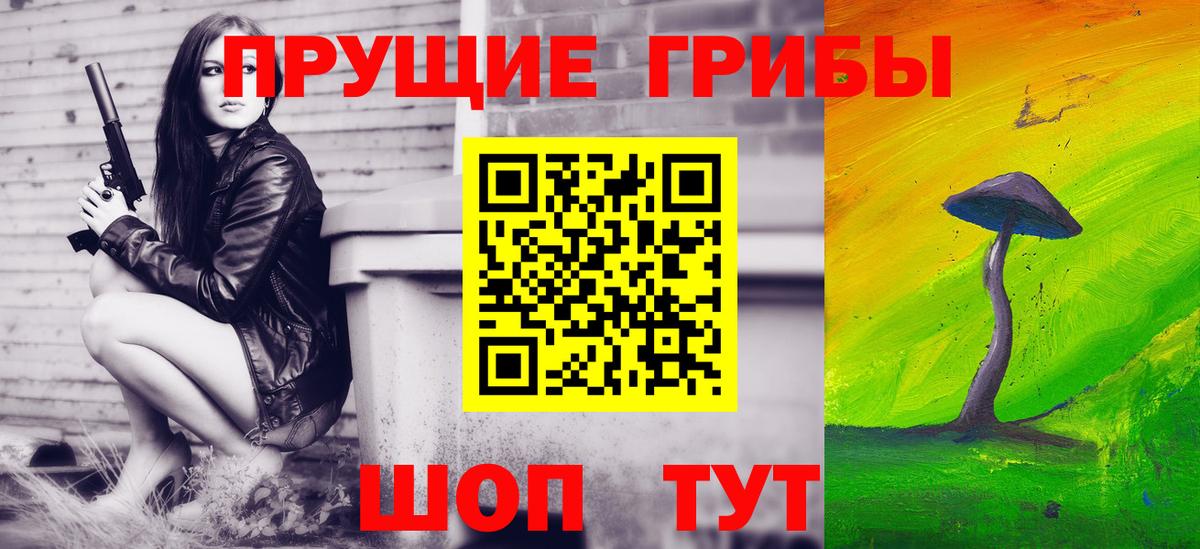 Галлюциногенные грибы ЛСД  Галлюциногенные грибы Magic Shrooms  где можно купить   Чебоксары  Вход с VPN 