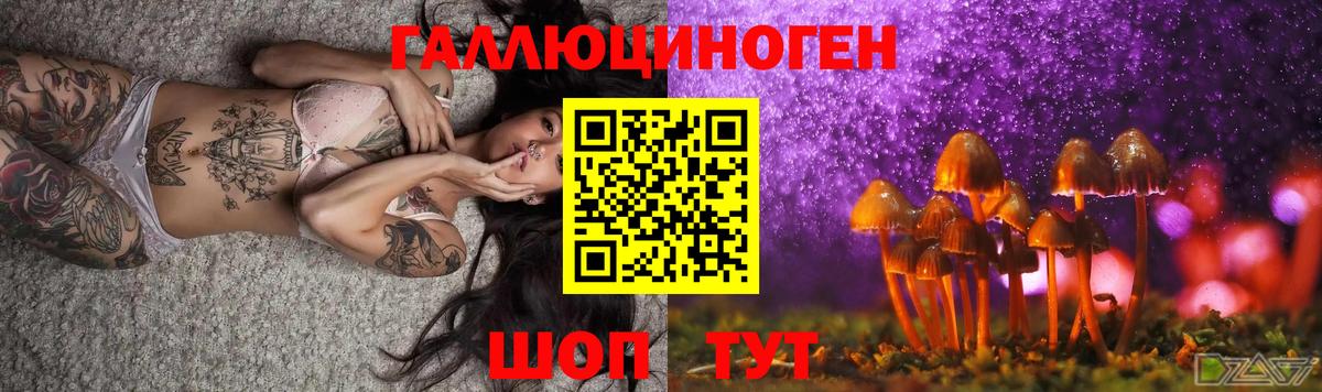 Псилоцибиновые грибы Psilocybe Чебоксары